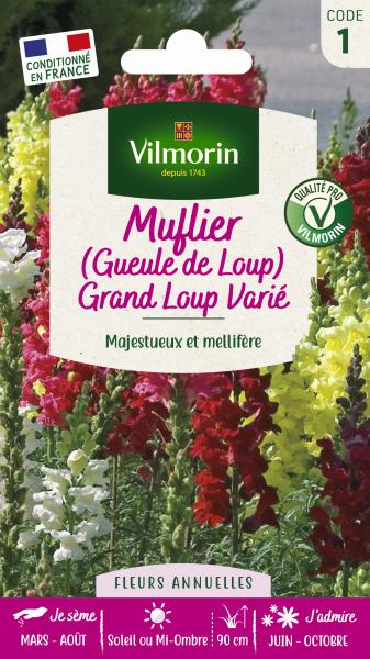 Fleurs - Muflier (Gueule de Loup) Grand Loup Varié - PACKAGING_RECTO
